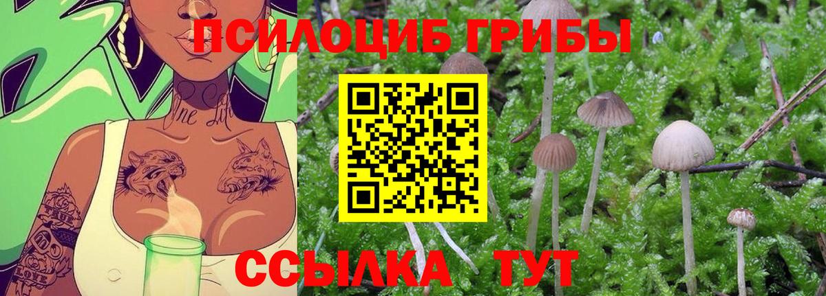 Калининград  Псилоцибиновые грибы Psilocybe  Галлюциногенные грибы MAGIC MUSHROOMS  Вход с VPN 